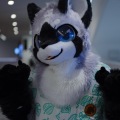 Anthro northwest 7 (2025)