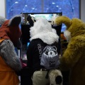 Anthro northwest 7 (2025)
