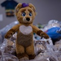 Anthro northwest 7 (2025)