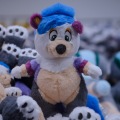 Anthro northwest 7 (2025)
