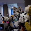 Anthro northwest 7 (2025)