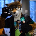 Anthro northwest 7 (2025)