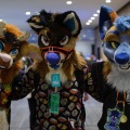 Anthro northwest 7 (2025)
