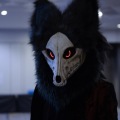 Anthro northwest 7 (2025)