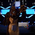 Anthro northwest 7 (2025)