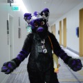 Anthro northwest 7 (2025)