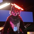 Anthro northwest 7 (2025)