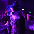 Anthro northwest 7 (2025)