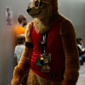 Anthro Northwest 8 Parade