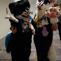Anthro Northwest 8