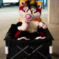 Anthro Northwest 8