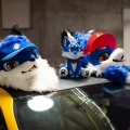 Anthro Northwest 8