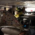 Anthro Northwest 8