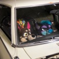 Anthro Northwest 8