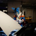 Anthro Northwest 8
