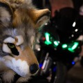 Anthro Northwest 8