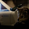 Anthro Northwest 8