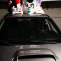 Anthro Northwest 8