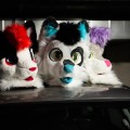 Anthro Northwest 8