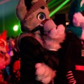 Anthro Northwest 8
