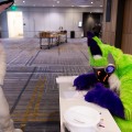 Anthro Northwest 8