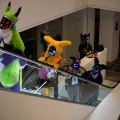 Anthro Northwest 8