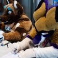 Anthro Northwest 8