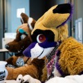 Anthro Northwest 8