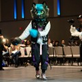 Anthro Northwest 8