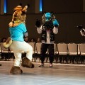 Anthro Northwest 8