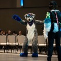Anthro Northwest 8