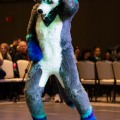 Anthro Northwest 8