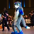 Anthro Northwest 8
