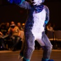 Anthro Northwest 8