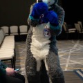 Anthro Northwest 8