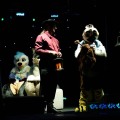 Anthro Northwest 8