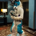 Biggest Little Fur Con 2017