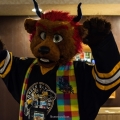Biggest Little Fur Con 2017