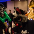 Biggest Little Fur Con 2017