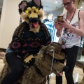 Biggest Little Fur Con 2018