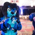 Biggest Little Fur Con 2018