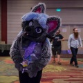 Biggest Little Fur Con 2018