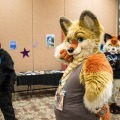 Biggest Little Fur Con 2018