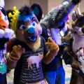 Biggest Little Fur Con 2018