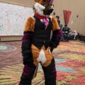 Biggest Little Fur Con 2018