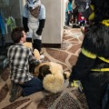 Biggest Little Fur Con 2018