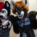 Biggest Little Fur Con 2018