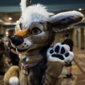 Biggest Little Fur Con 2018