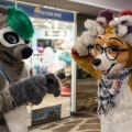 Biggest Little Fur Con 2018