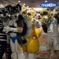 Biggest Little Fur Con 2018